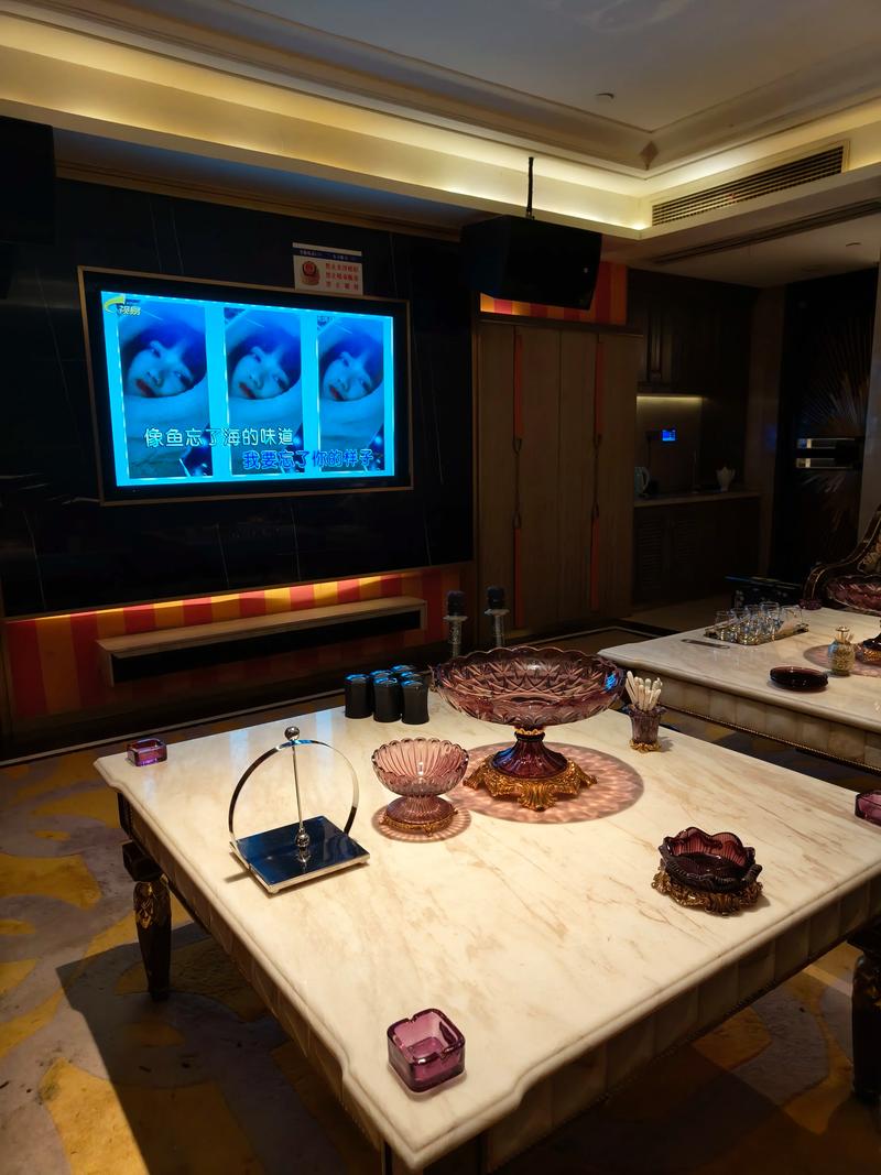 无锡商务ktv优选高品质商务ktv体验-宜兴市ktv预定